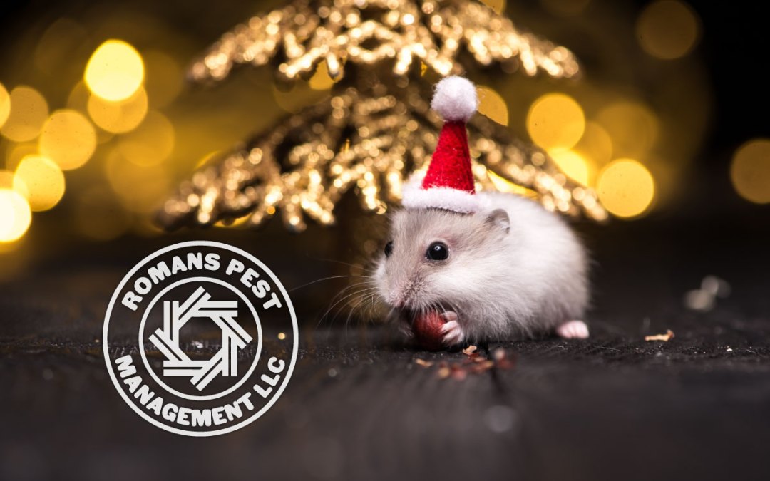 ‘Tis the Season for Uninvited Guests: Dealing with Pests in Your Home During the Christmas Holiday