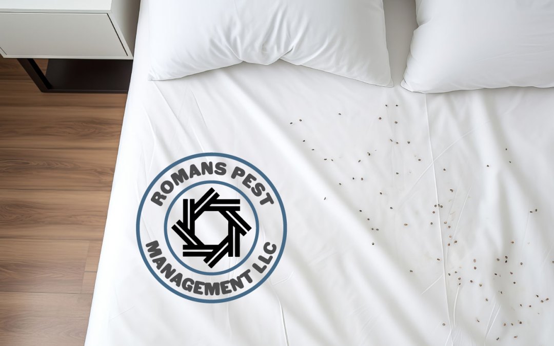 How to Prevent Bed Bugs When Traveling