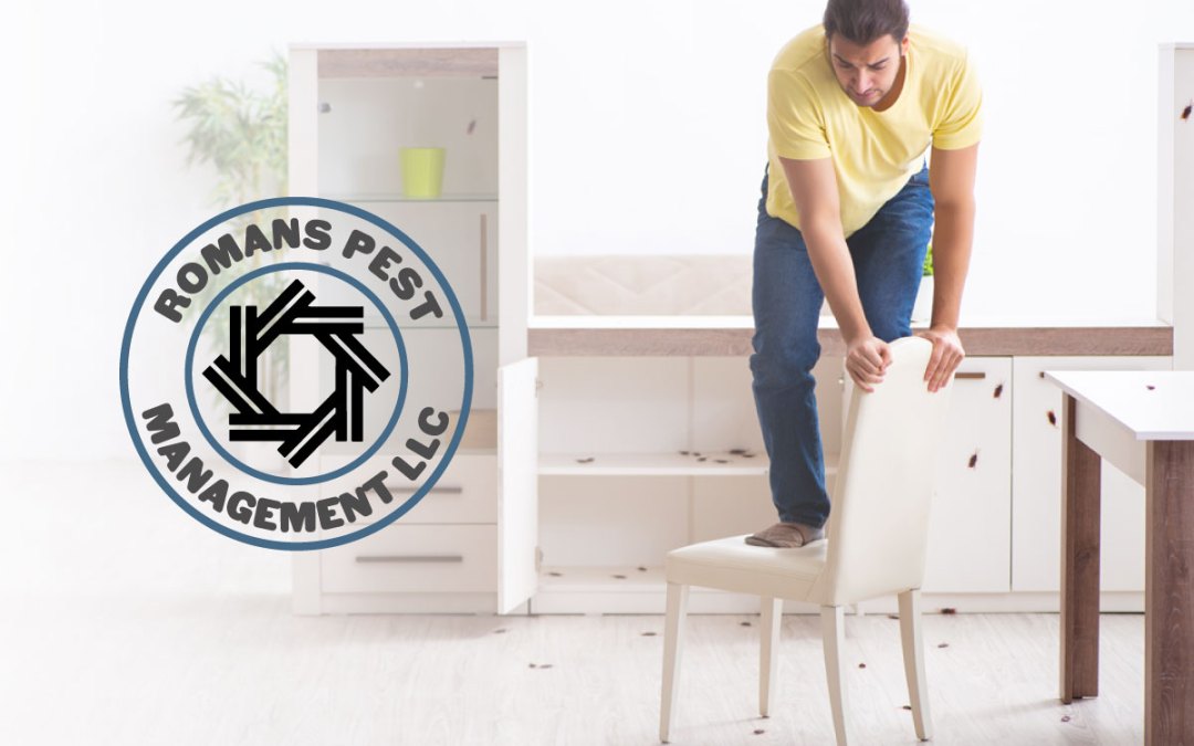 Protect Your Home: Essential Pest Control Tips for Cincinnati Homeowners