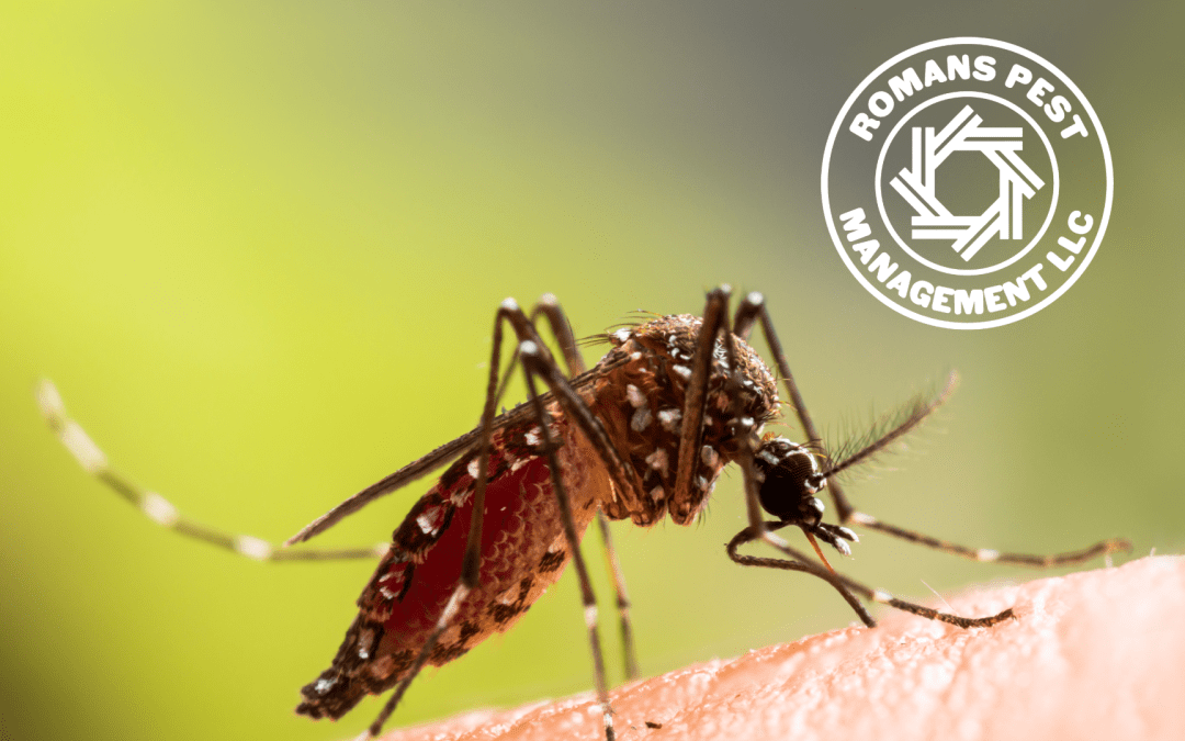 West Nile Virus Detected in Greater Cincinnati: What You Need to Know About Mosquito Control